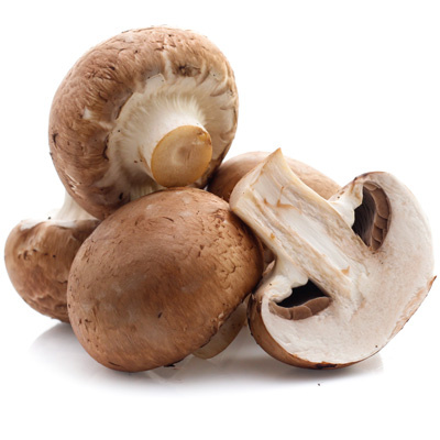 spermiogramma